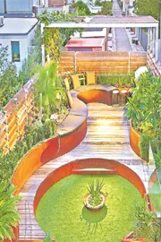 Terrace Gardens Are Becoming Trendy In Hyderabad City2