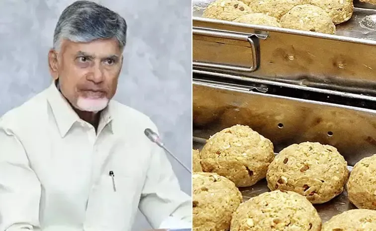 KSR Comments On Chandrababu Over Tirumala Laddu8