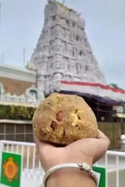 Supreme Court Hearing On YS Subba reddy Petition Over Tirumala Laddu8