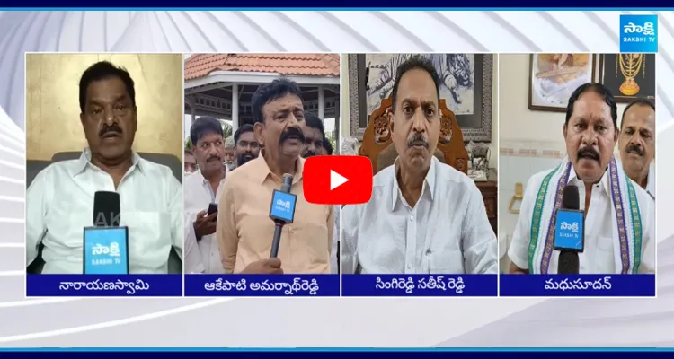 YCP Leaders Fires On Chandrababu False Allegations