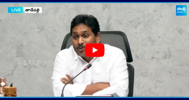 YS Jagan Comments On Chandrababu2