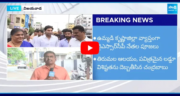 Devineni Avinash Attend Pooja Against Chandrababu Fake Allegations