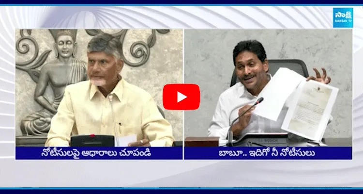 YS Jagan Strong Counter To Chandrababu Naidu Comments