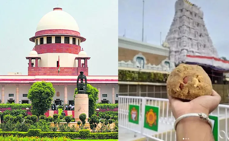 Laddu Case Hearing Allotted To Justice Br Gavai And Kv Viswanathan Bench