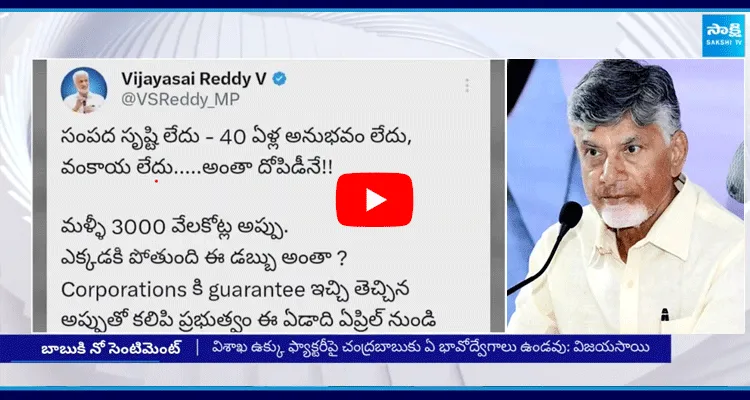 Vijaya Sai Reddy Slams Chandrababu Over Vizag Steel Plant Privatisation