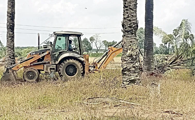 Illegal cultivation of TDP in temple lands