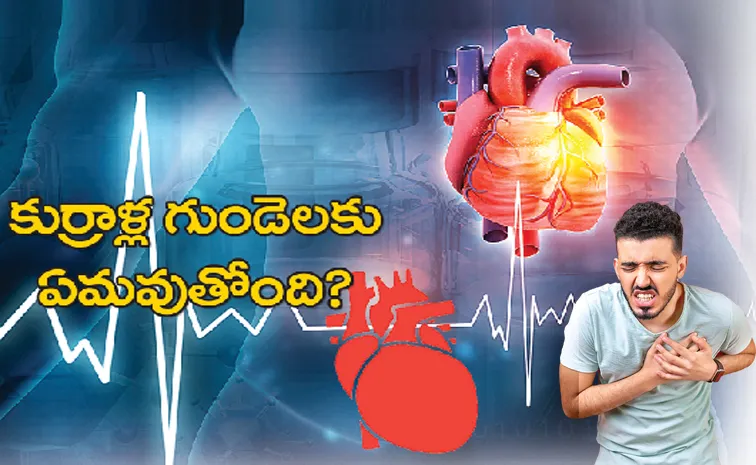 Precautions And Suggestions To Avoid Heart Disease Special Cover Story