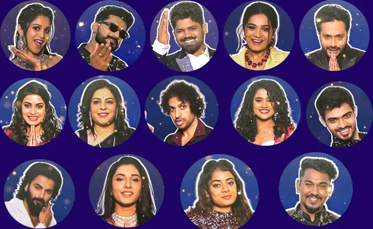 Bigg Boss 8 Telugu Contestants Remuneration Details