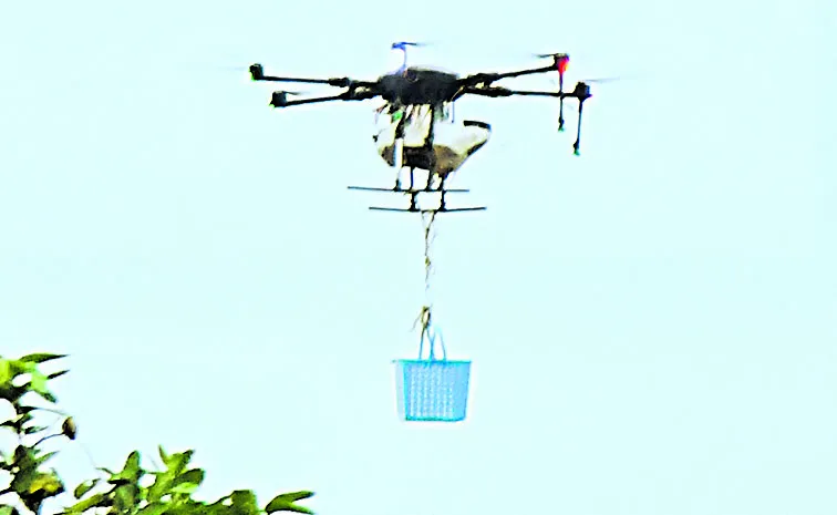 Food distribution with survey drones: Andhra pradesh