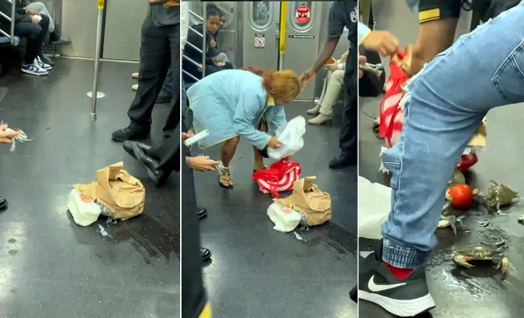 Chaos in metro after live crabs fall out of woman's bag