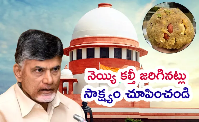 Supreme Court Hear On Tirumala Laddu Controversy Updates