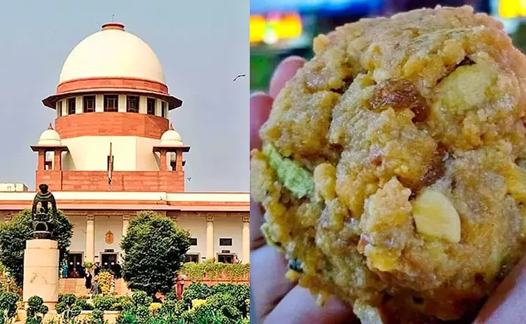 Supreme Court Hear On Tirumala Laddu Controversy Updates