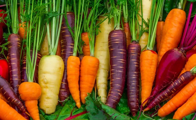 Do You Know How Nutritious Are Carrots?