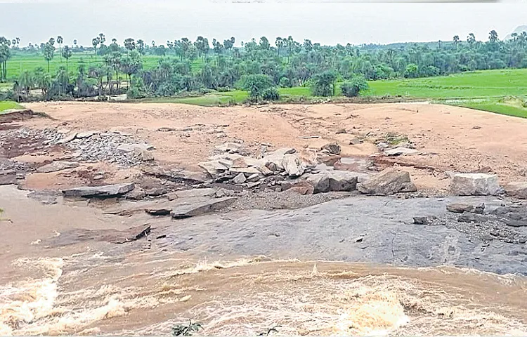 Crop loss in 6 lakh acres in telangana