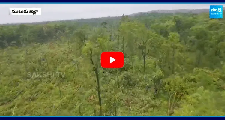 One Lakh Trees Felled Eturnagaram Forest