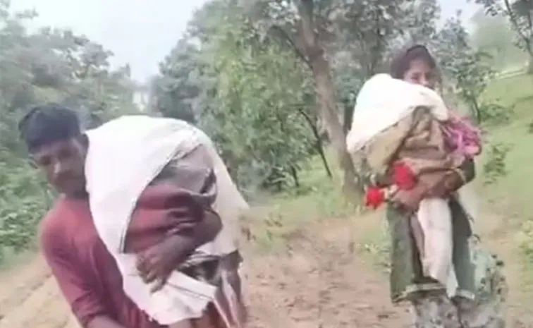 No Ambulance Maharashtra Parents Carry Dead Sons Back Home On Shoulders