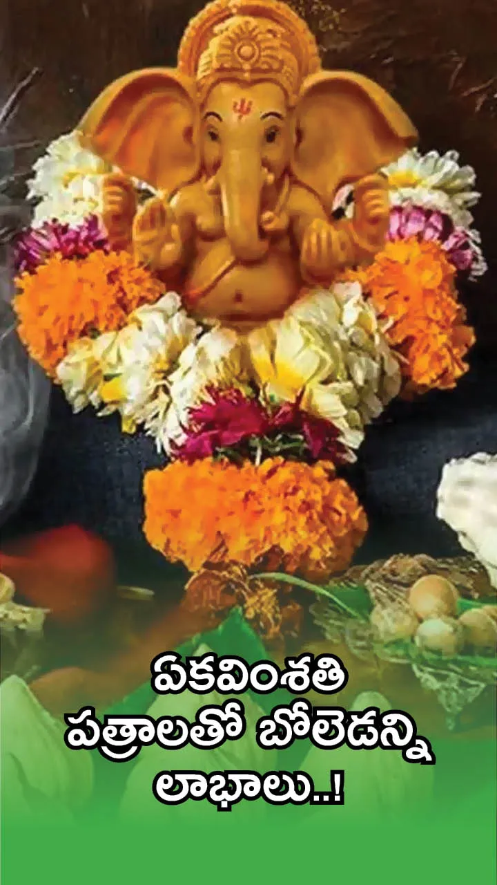 Vinayaka Chavithi 2024: 21 Leaves For Ganesh Pooja Amazing Health Benefits