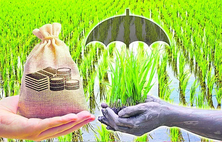 Insurance burden on farmers from Rabi