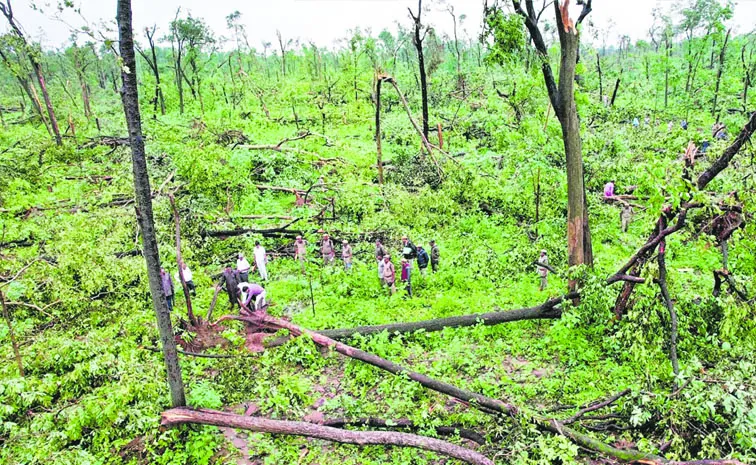 Forest Department Officials Survey On Destroyed Valuable Vegetation At Mulugu District