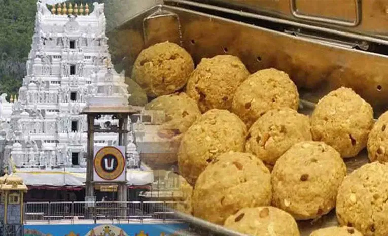 Tirumala Laddu Available Daily In Hyderabad