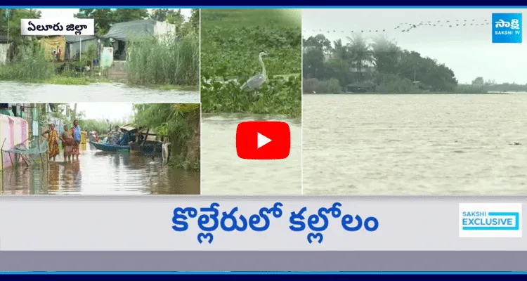  Special Ground Report On Kolleru Lake