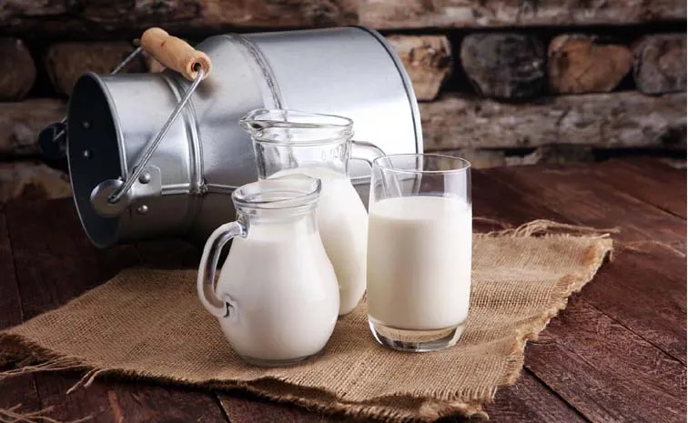 Scientists Said Drinking Raw Milk Is Extremely Dangerous