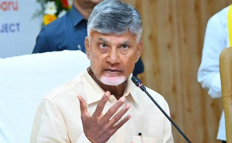 YSRCP Questioned By Chandrababu Over Electricity Charges