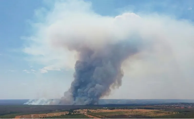 Smoke Choking Brazil Due To Amazon Wild Fires