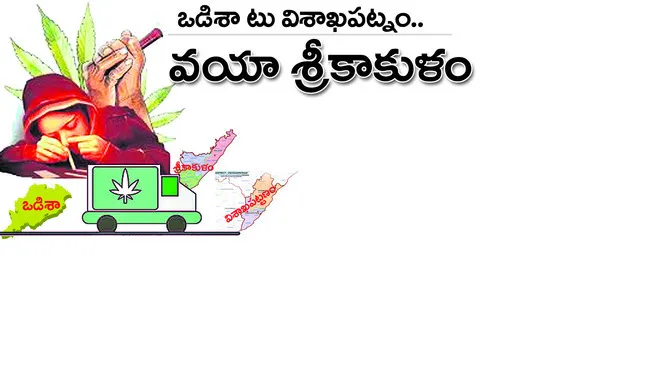 ● గంజ