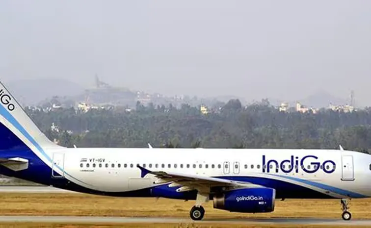 Man Arrested For Harrasing Woman In Indigo Flight