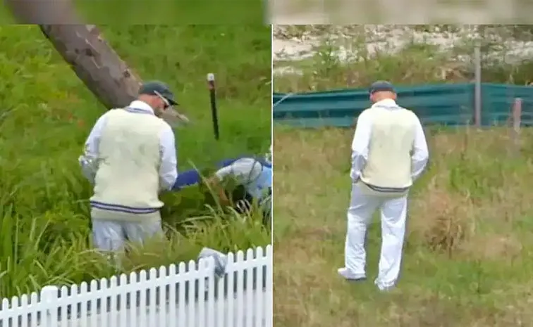 Gully Cricket As Australias Nathan Lyon Goes On Hunt For Lost Ball In Bushes