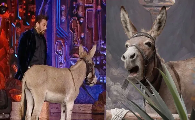 Bigg Boss Hindi 18: Donkey Gandharaj Eliminated from BB Show