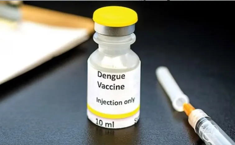 Dengue Vaccine May be Available Soon