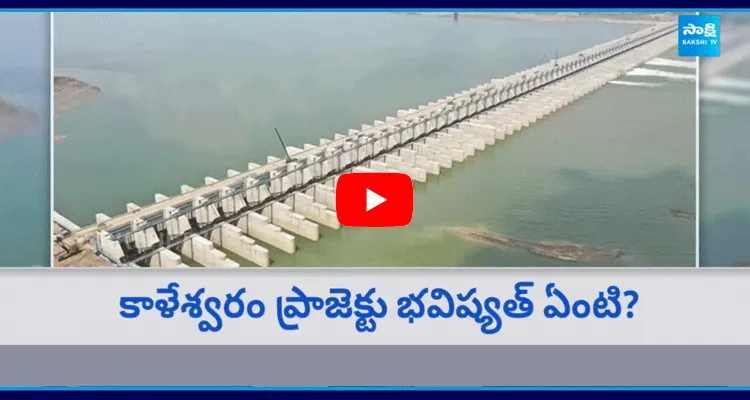 NDSA Investigation On Kaleshwaram Project