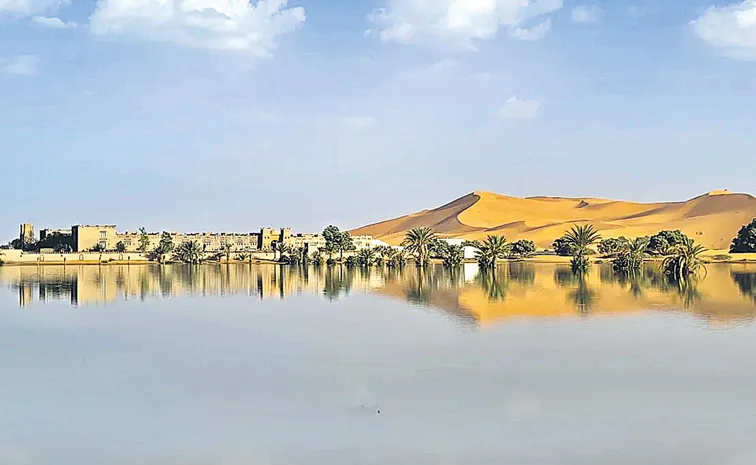 Rare rains after 50 years turn dry Sahara into oasis