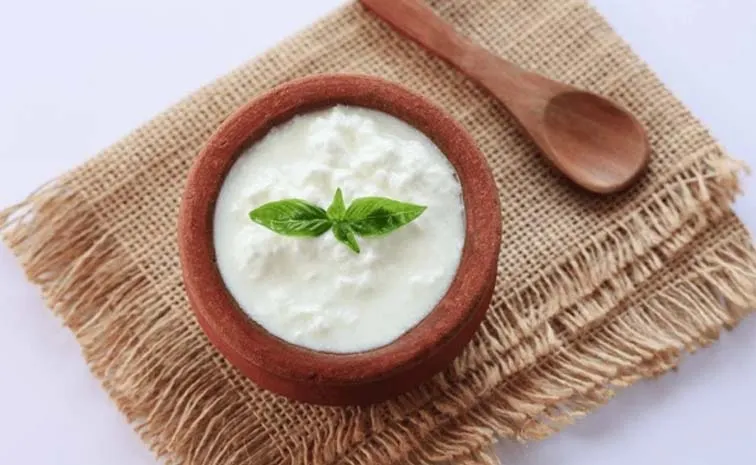 Yogurt Consumption For Improving Immune Health14