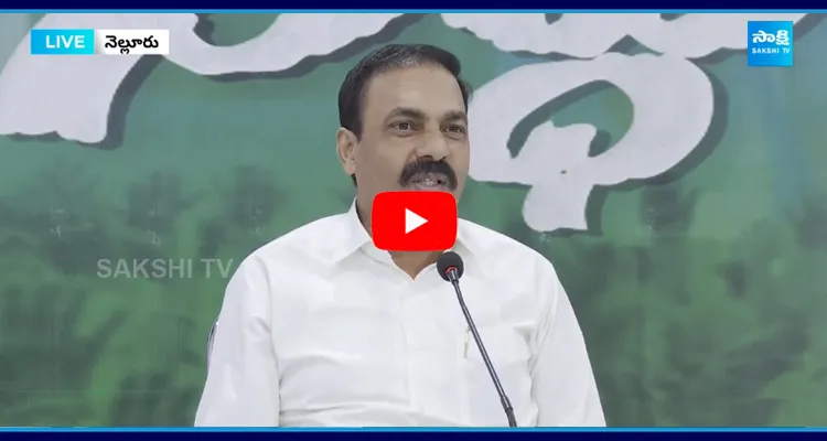 Kakani Govardhan Reddy Comments On Everything is syndicates magic in AP 