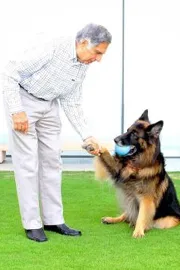 Ratan Tata dog Goa is not dead, Sudhir Kudalkar dismissed the rumours5