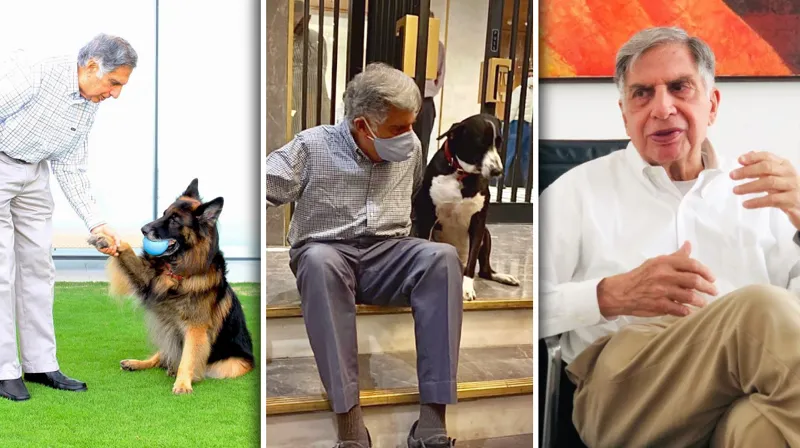 Ratan Tata dog Goa is not dead, Sudhir Kudalkar dismissed the rumours