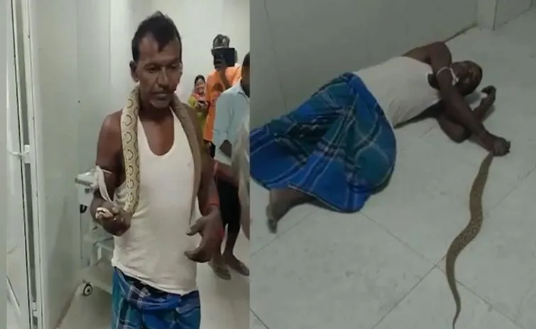 Bihar Man Bitten By Snake Walks Into Hospital With Reptile In Hand