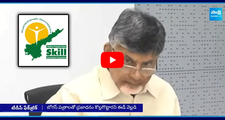 Chandrababu Fake Trick On Skill Development Scam Case