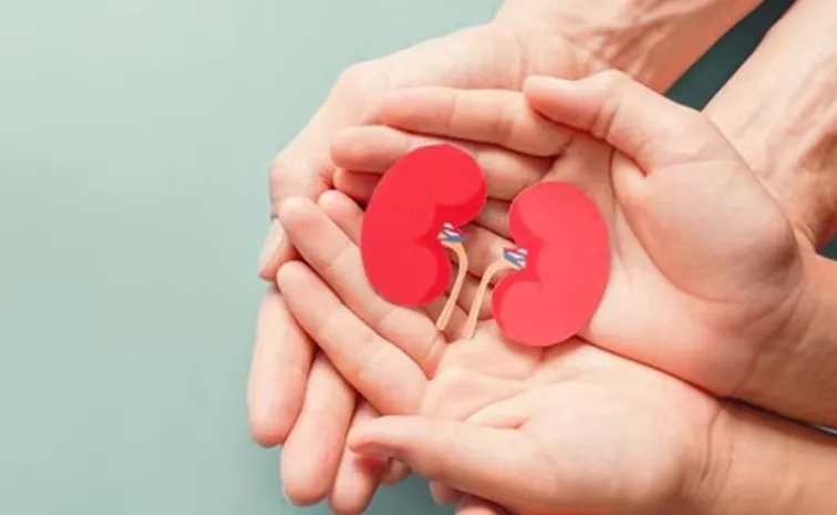 New study shows Kidney transplant are safe between people with HIV