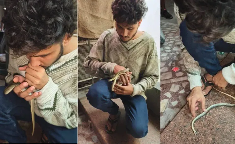 Viral: Video: Gujarat Man Saves Snake Life By Performing CPR9