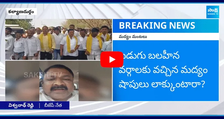 Kalyanadurgam BJP Leader Vishwanath Reddy Fires On TDP MLA Surendra Babu