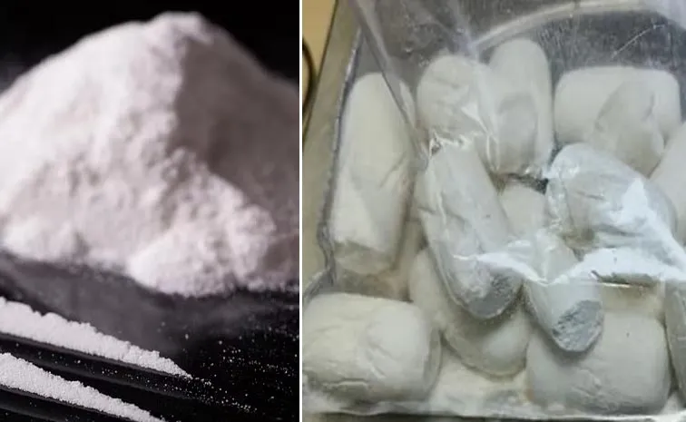 Biggest Drug Bust In Delhi 500 kg Cocaine Seized