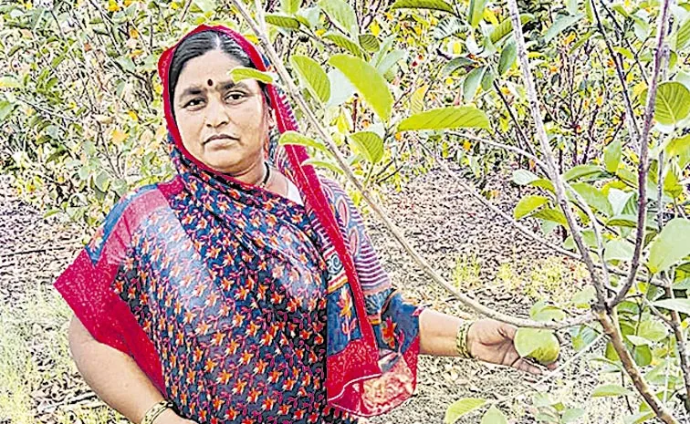 Organic Farmer Savitri in Maharashtra