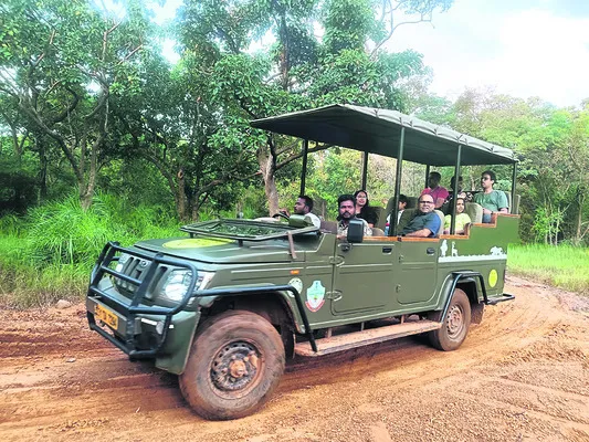 నల్లమలలోని టైగర్‌ సఫారీ వాహనం