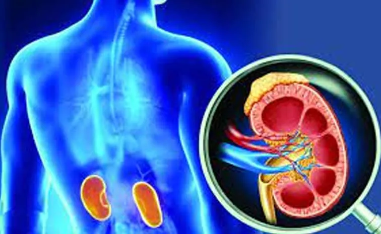 Kidney Failure Symptoms Causes And Treatment