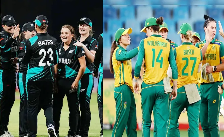 W T20 WC 2024 SA vs NZ: New Zealand Scores 158 Runs