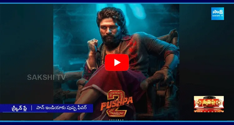 Allu Arjun Pushpa 2 Huge Promotions Will Start From Deepavali